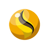 Raichunite Y