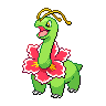 大竺葵