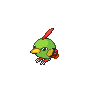 天然雀