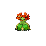 美丽花