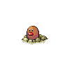 地鼠