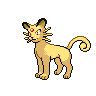 猫老大